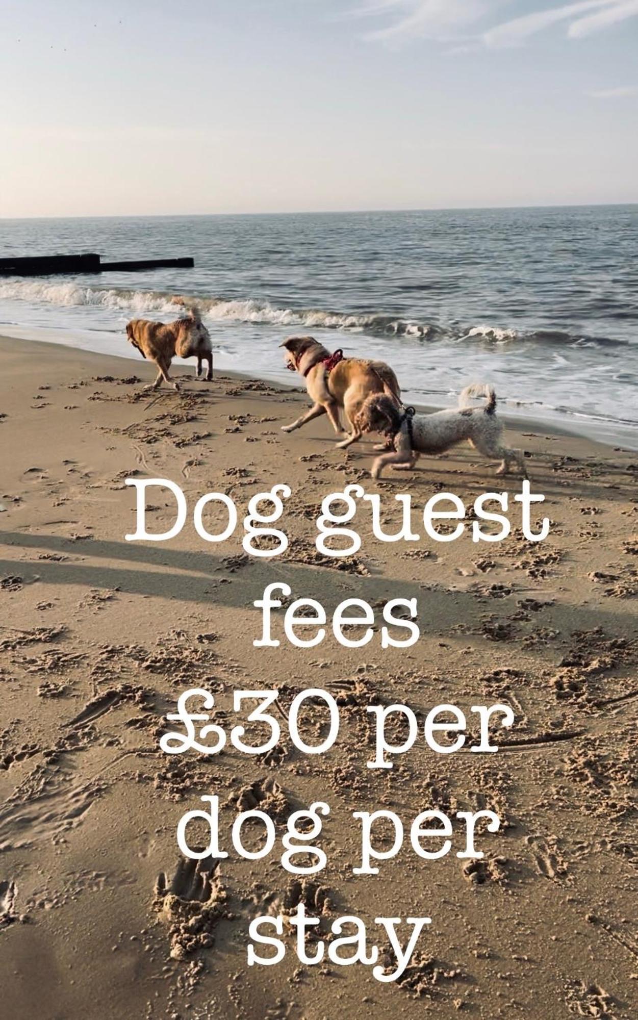 Coastal Terrace Dogs Welcome Optional Hot Tub Villa Sea Palling Exterior photo